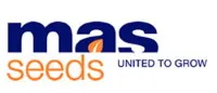 Mas 15.T - гибрид кукурузы от MAS Seeds - ФАО 200