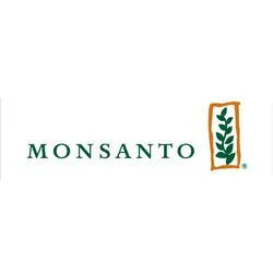 Гибриды семян кукурузы Монсанто (Monsanto)