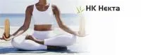 Семена кукурузы НК Некта