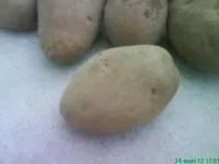 Картофель красный