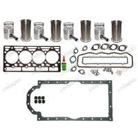 Ремкомплект двигателя Case IH DT239