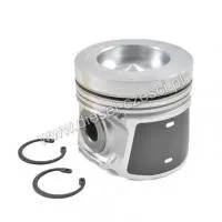 Поршень Deutz 2012 / 2013 101 mm STD