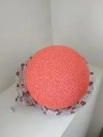 Промывочный шар