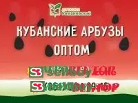Арбузы оптом