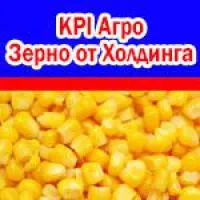 Кукуруза (кормовая и на зерно) от Агрохолдинга КиПиАй