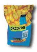 Семена кукурузы Монсанто (MONSANTO)