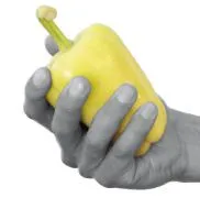 Лотта F1 (500сем)
