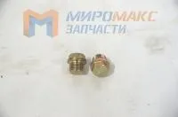 13022897 Пробка поддона Deutz